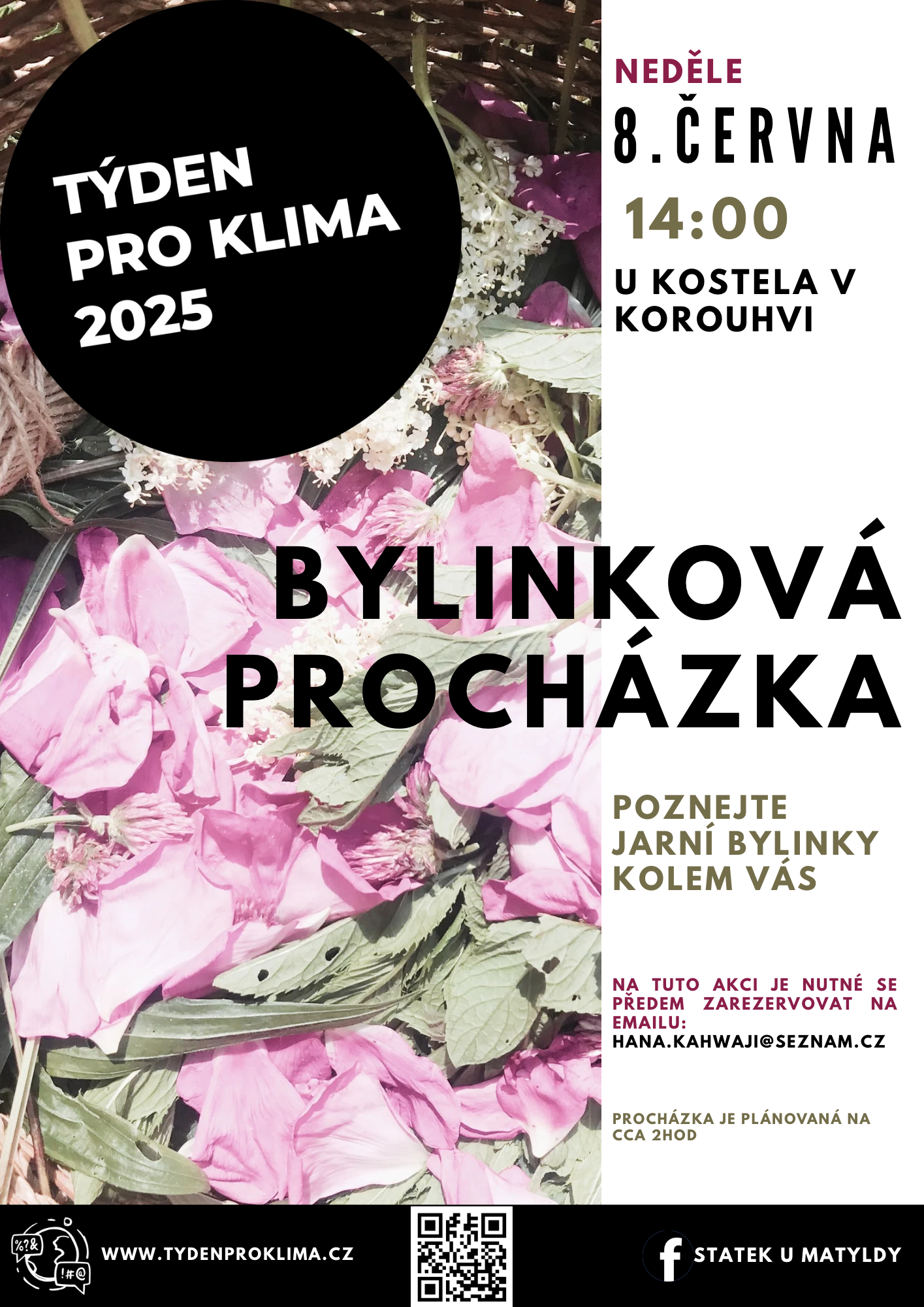 Bylinková procházka - poznejte jarní bylinky kolem Vás
