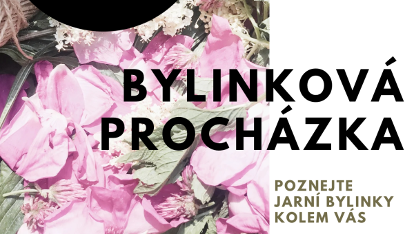 Bylinková procházka - poznejte jarní bylinky kolem Vás
