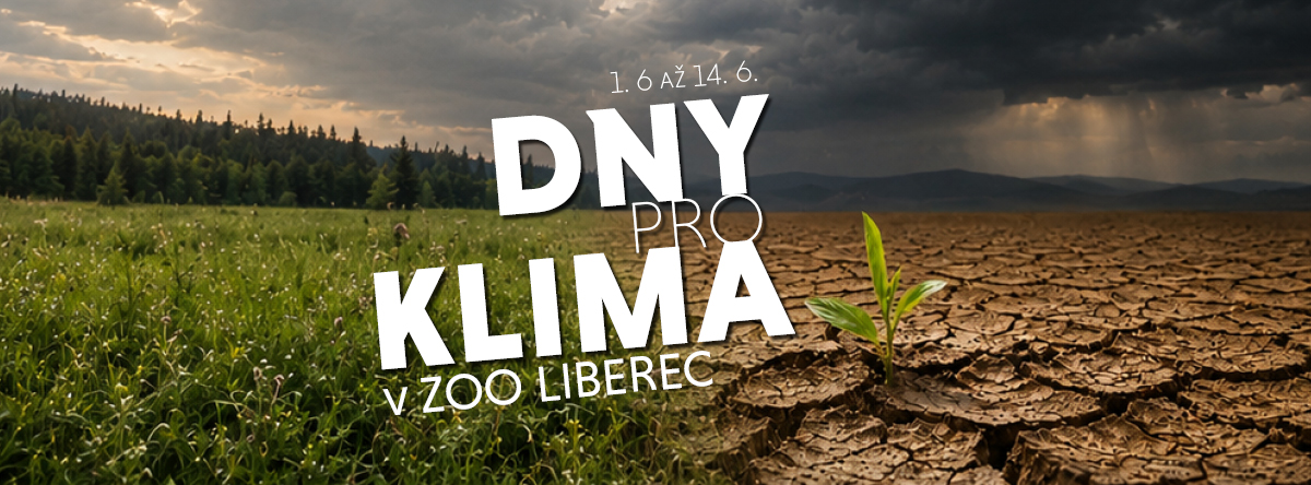 Proč ubývá příroda a co s tím má společného klima