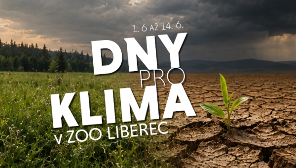 Proč ubývá příroda a co s tím má společného klima